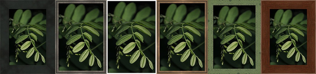 20% Discount on Fine Art Photography Prints for Interior Designers Example of several types of frames for fine art photography