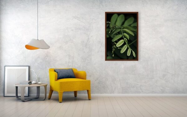 The Golden Ratio In the Nature - Printed on canvas with frame