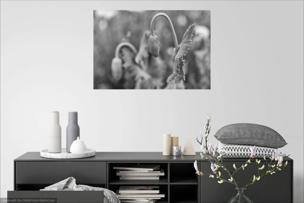 Fine Art Natrue Photography Print - Visualisation on the Living Room Wall
