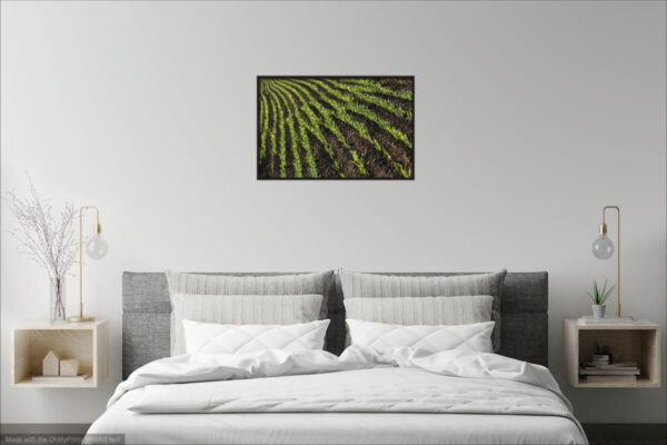 Field rows. Fine Art Photography Print Visualisation.