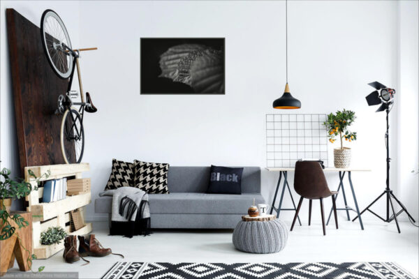 Visualization of Black & White Fine Art Photography Print on the interior wall - Three Leaves