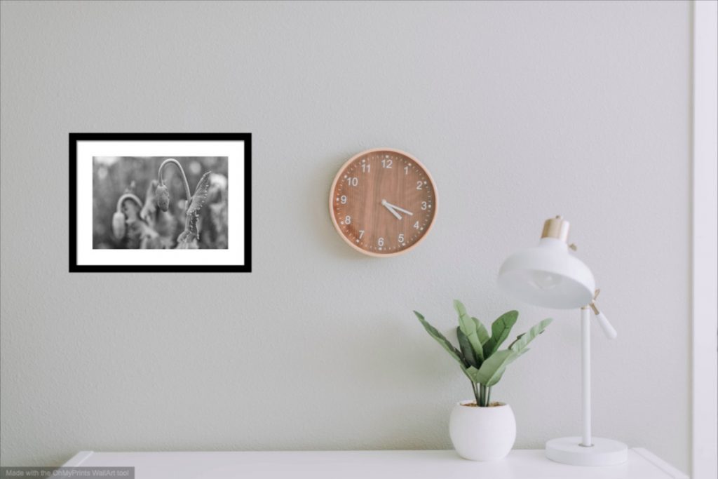 Visualization of close-up landscape photography print in minimalist office interior.