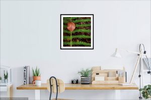 Symmetrical nature - Fine art photography print - visualization