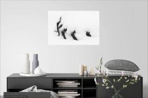 Wall art visualization of black&white minimalist photograph of a tire in snow