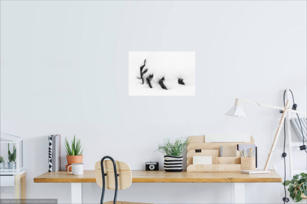 Wall art visualization of black&white minimalist photograph of a tire in snow