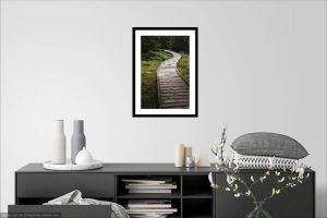 Wooden walkway - Photography Print Visualization