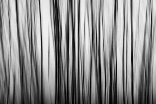 Abstract Tree with Motion Blur – Minimalist Fine Art Photography Print, Abstract, Abstract Tree with Motion Blur – Minimalist Fine Art Photography Print