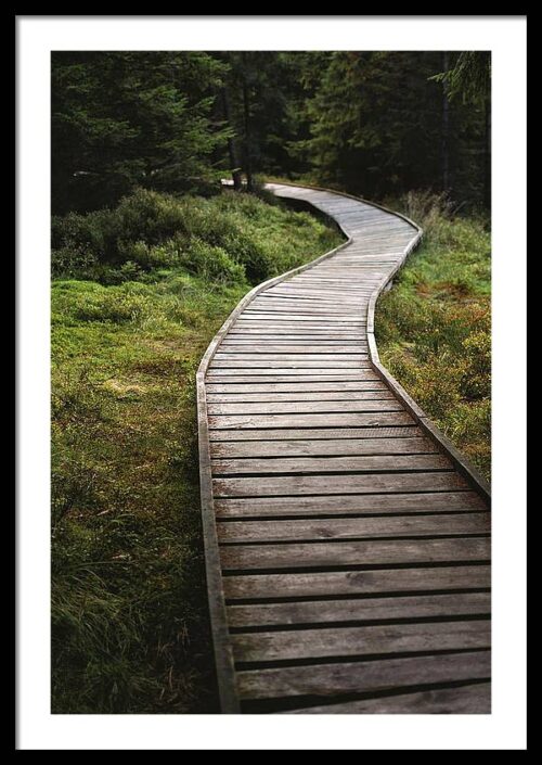 The path to nowhere - Fine art photography print, Framed Photography, The path to nowhere – Fine art photography print