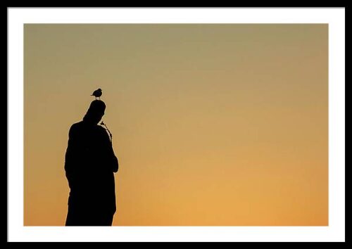 Seagull resting on the head of a statue on Charles Bridge in Prague - Framed photograph for sale., Framed Architectural, Seagull resting on the head of a statue on Charles Bridge in Prague – Framed photograph for sale.