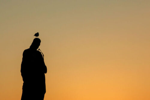 Seagull resting on the head of a statue on Charles Bridge in Prague - Photograph for sale., Birds, Seagull resting on the head of a statue on Charles Bridge in Prague – Photograph for sale.