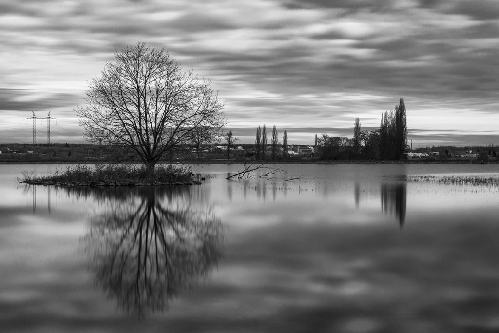 The tree in the Water Art Print - Fine art landscape photography print