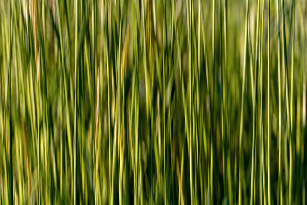 Abstract minimalist art print