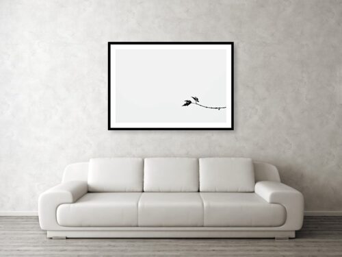 Large B&W minimalist photography art print - Visualisation - Abstract