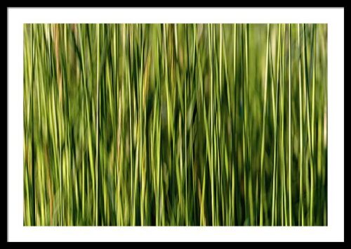 Framed print of minimalist abstract nature photography, Framed Nature, Framed print of minimalist abstract nature photography