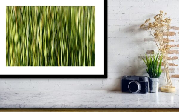 Framed print of minimalist and abstract nature photography