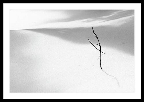 Winter minimalism - Framed photography print, Framed Nature, Winter minimalism – Framed photography print