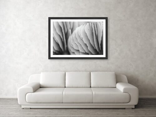 Mushroom Abstraction - Art print preview - Abstract