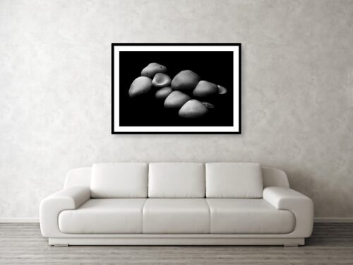 Mushrooms on dark background - Visualisation of 1m wide art print - Abstract