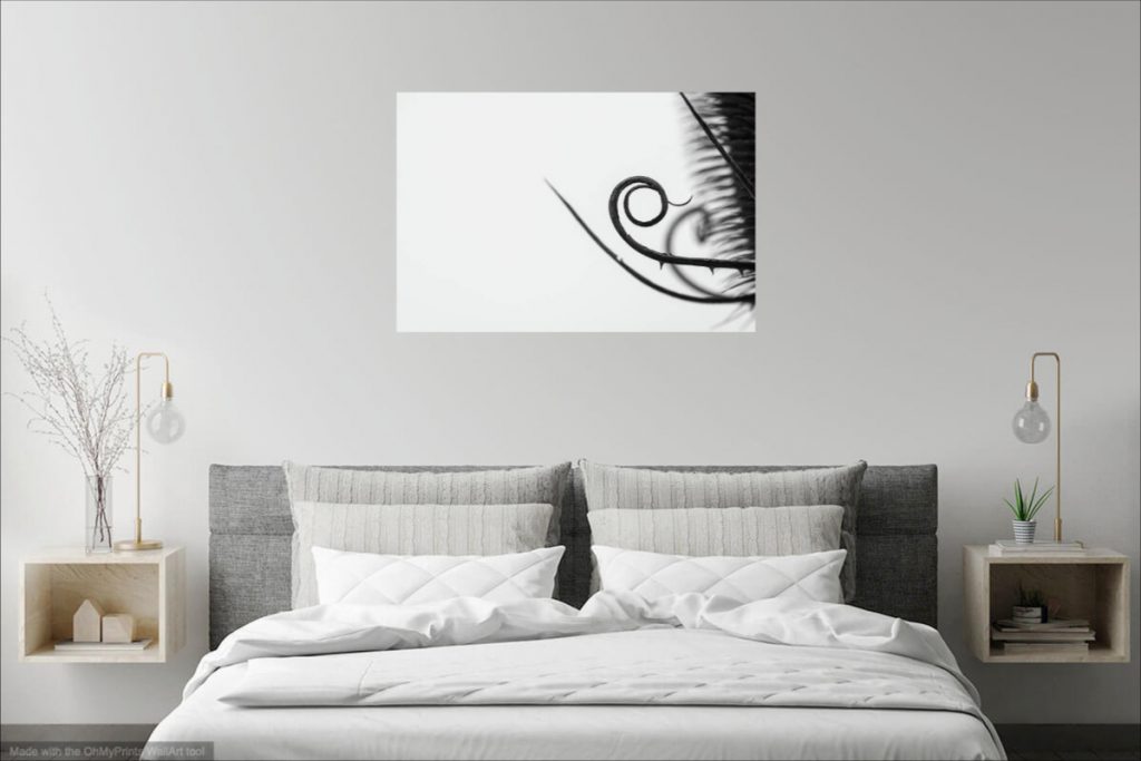Fine Art Photography Prints for Bedroom