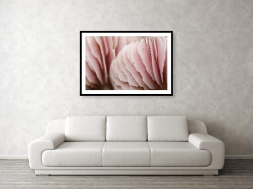 Pink mushroom - Wall art visualisation - Abstract