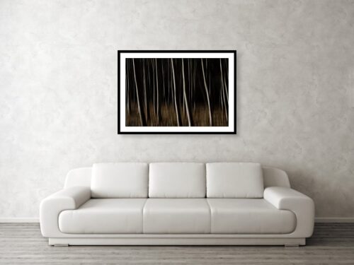 Abstract Forest Photography Print - Wall Visualisation - Abstract