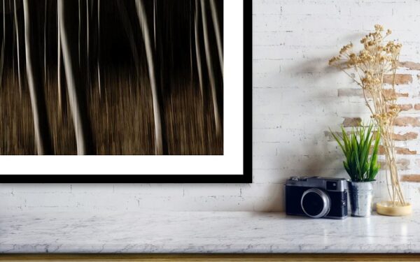 Abstract Forest Photography Print - Wall Visualisation