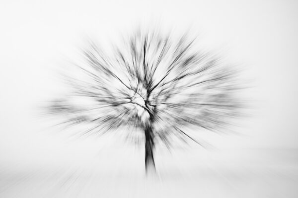 Abstract tree - Black and White photography print