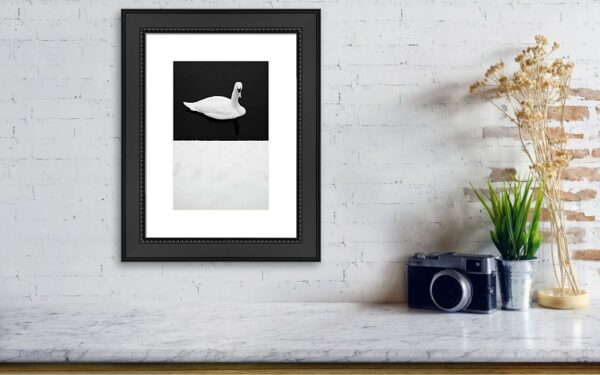 Swan in the Winter - Wall Visualisation