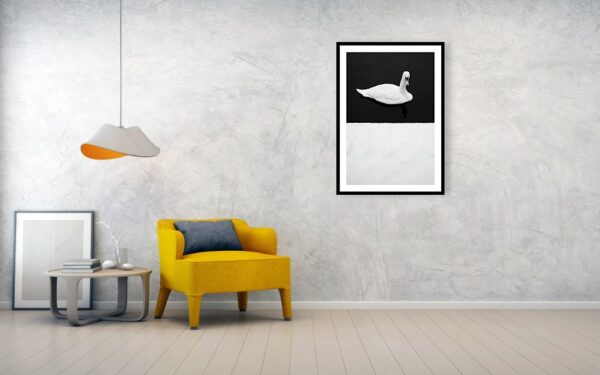 Swan in the Winter - Wall Visualisation