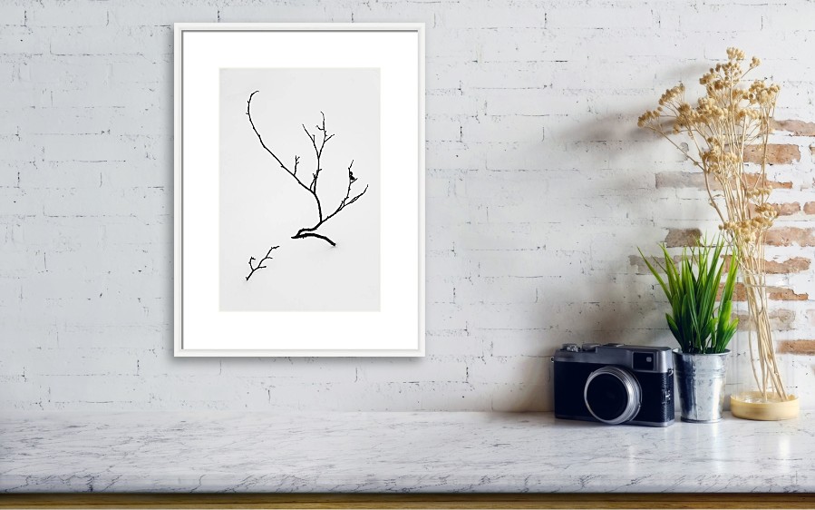 How to Choose Photography Art Prints for Bathroom