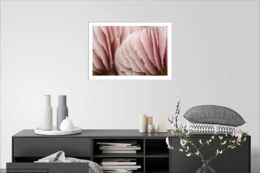 How to Choose Photography Art Prints for Bathroom Pink mushroom. An example of an ideal photo for the bathroom - it is soft, dreamy and sensual.