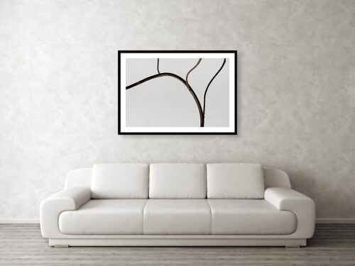 Minimalist flower stem framed art print - Abstract