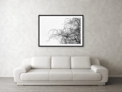 Silhouette of willow branches - Art Print Visualisation - Abstract
