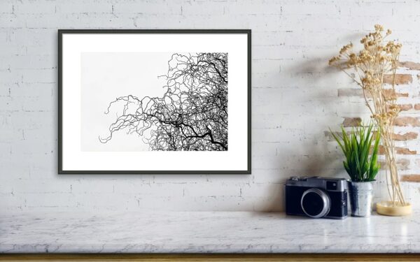 Silhouette of willow branches - Art Print Visualisation