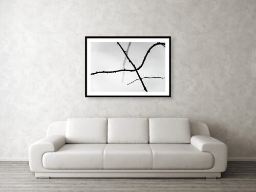 Wall art visualisation - Tree Branches Silhouette - Abstract