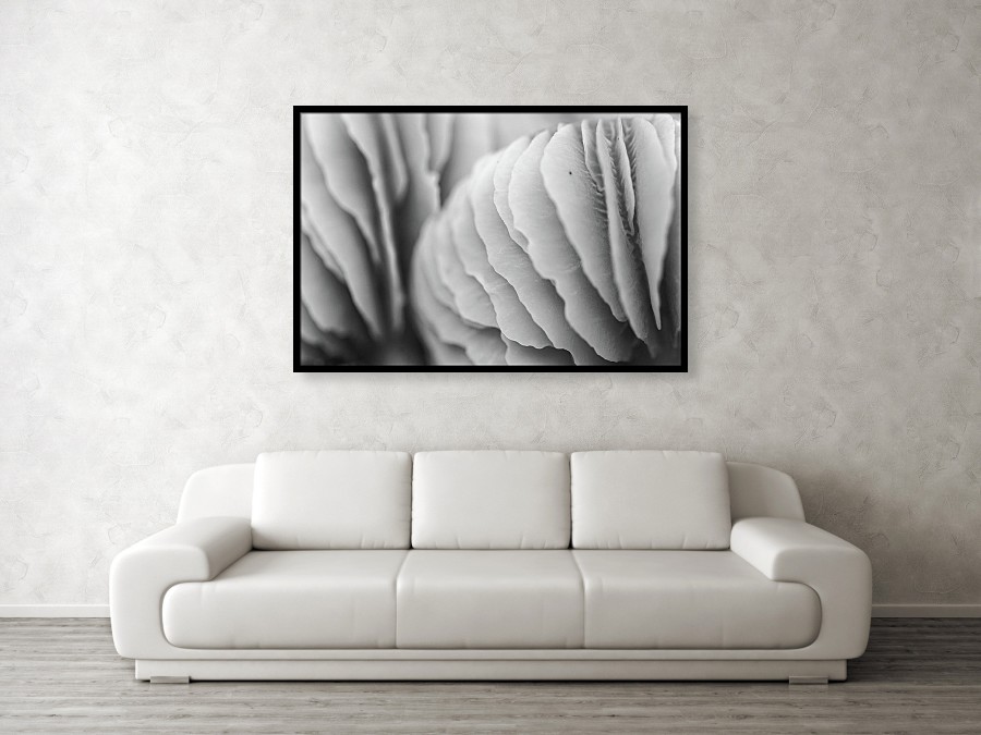 Fine Art Photography Prints for Your Living Room | Martin Vorel Photography