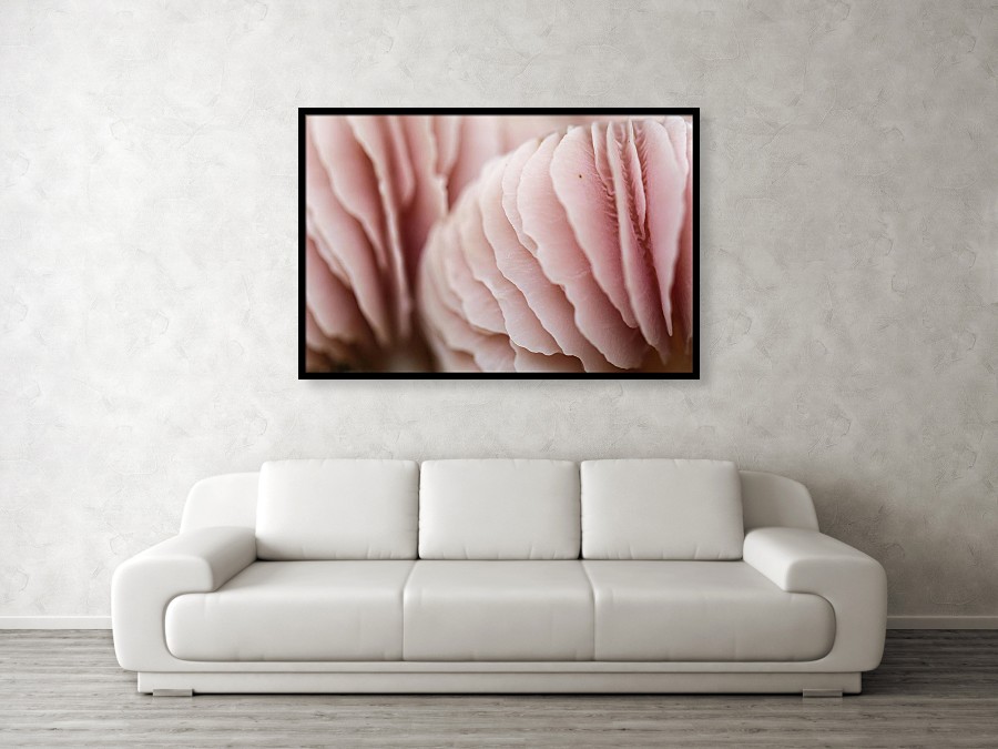 Fine Art Photography Prints for Your Living Room Fine Art Photography Prints for Your Living Room
