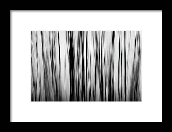 Fine art photography prints for offices Abstract nature photography print