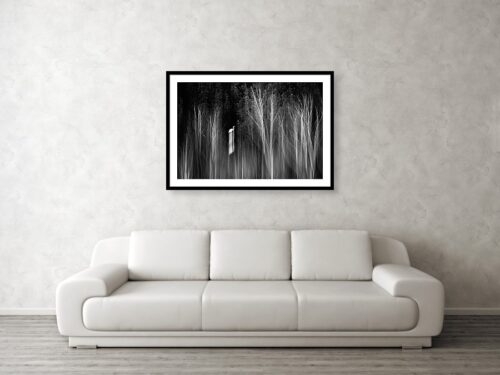 An abstract wildlife photo - Great Egret - Visualisation - Abstract