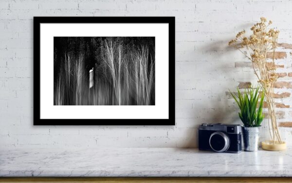 An abstract wildlife photo - Great Egret - Visualisation