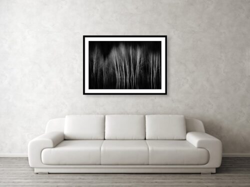 The Birch in Motion - Interior Visualisation - Abstract