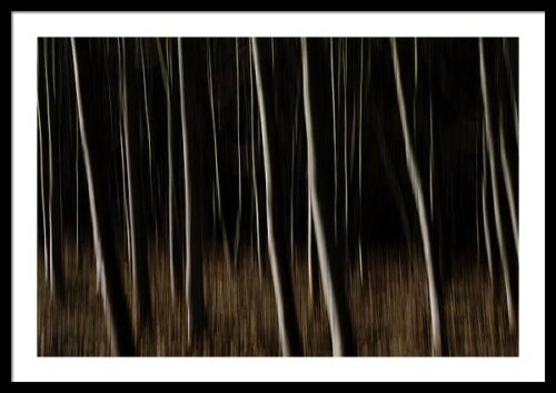 Abstract Forest - Fine Art Photography Print Framed Print, Framed Nature, Abstract Forest – Fine Art Photography Print Framed Print