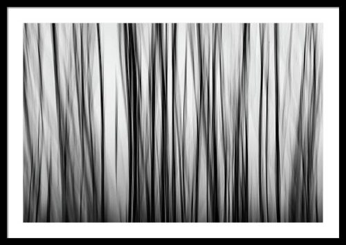 Abstract Tree with Motion Blur – Minimalist Framed Photography Print, Framed Abstract, Abstract Tree with Motion Blur – Minimalist Framed Photography Print