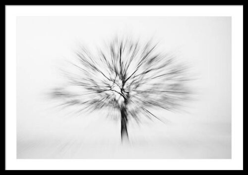 Abstract Tree - Minimalist Photography Framed Print, Framed Photography, Abstract Tree – Minimalist Photography Framed Print