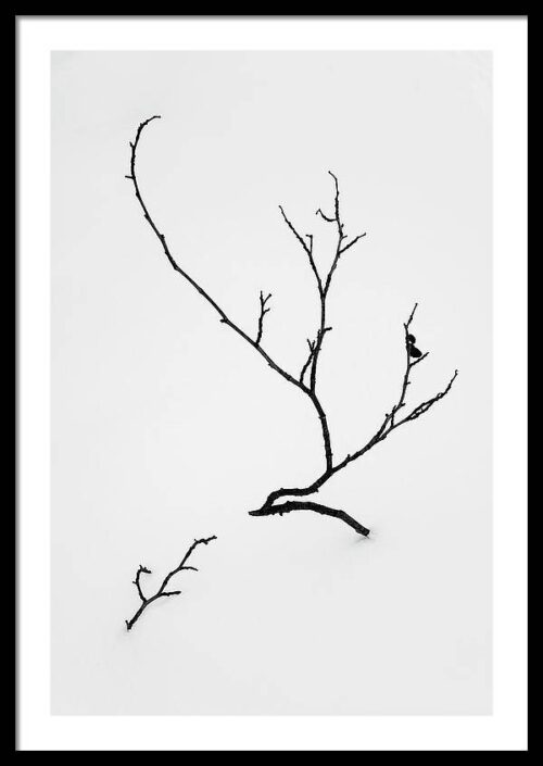 Zen Tree in the Snow - Minimalist Photography Framed Art Print, Framed Minimalist, Zen Tree in the Snow – Minimalist Photography Framed Art Print