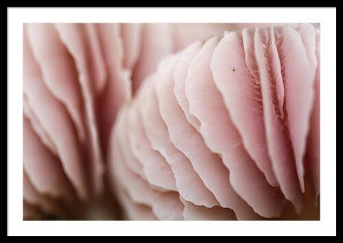 Pink Mushroom Framed Print, Framed Abstract, Pink Mushroom Framed Print