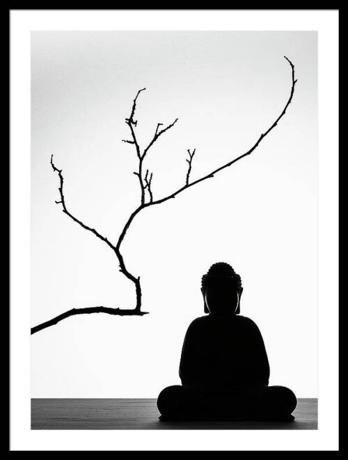 The Buddha under the tree framed photography, Framed Photography, The Buddha under the tree framed photography