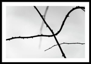 Abstract | Minimalist Photography Art Prints | Martin Vorel