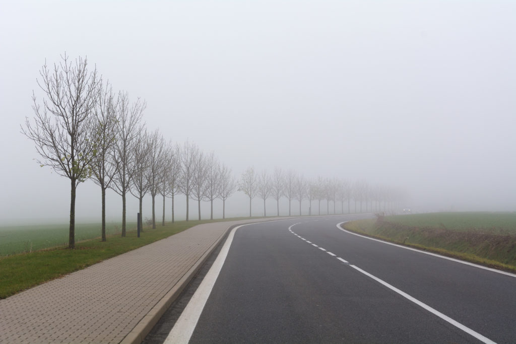 Foggy road with trees. Taken on the outskirts of Prague.