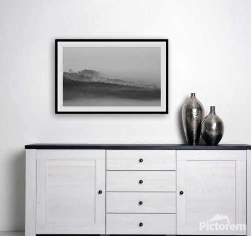 Photograph of the Foggy Forest - Interior art print visualisation - Abstract